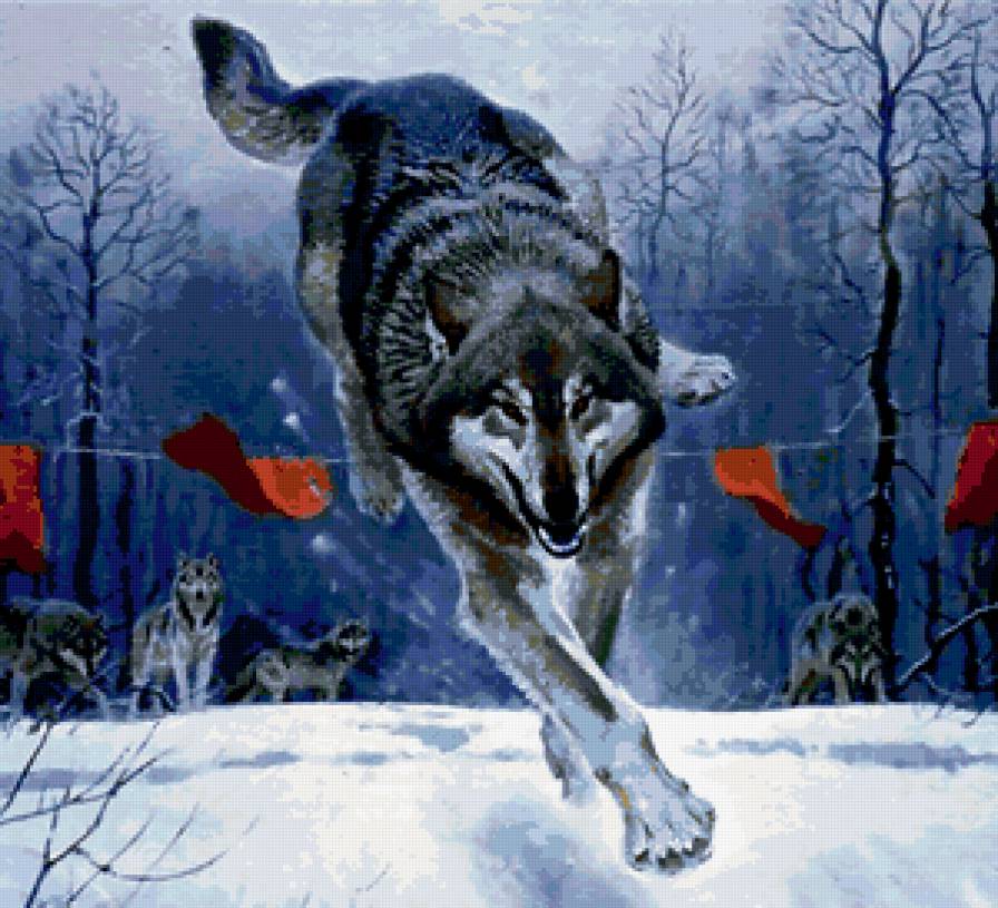 Охота на волков - анималисты, волки, животные, волк - предпросмотр