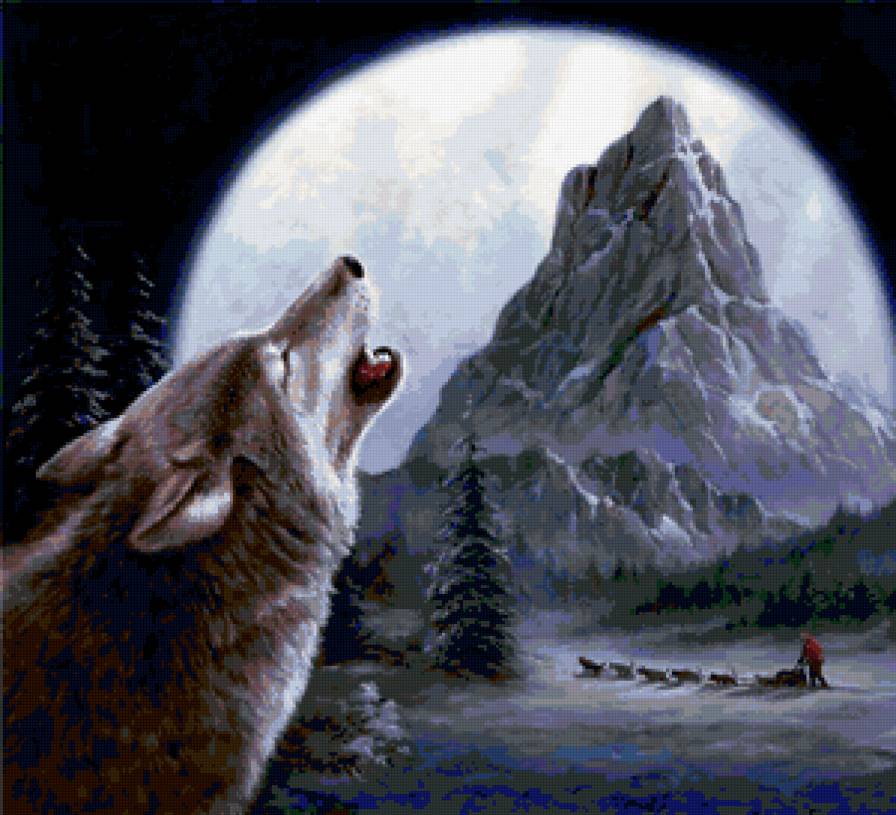 Одинокий волк - волк, волки, анималисты, животные - предпросмотр