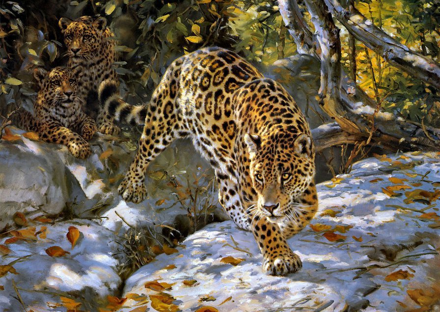 Снежные барсы - оригинал