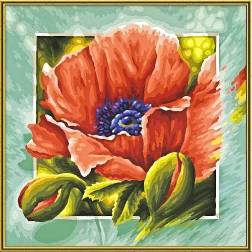 красный мак - цветы - оригинал