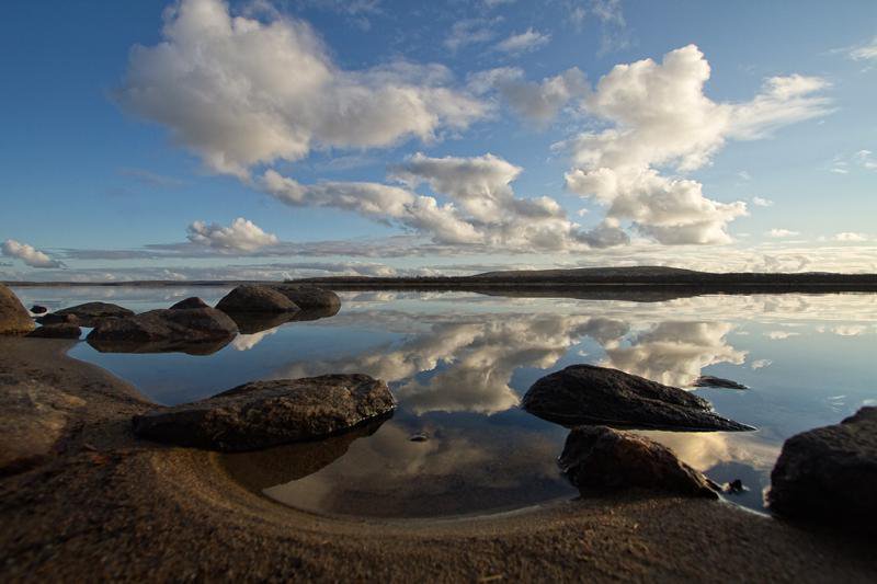 родной край - оригинал