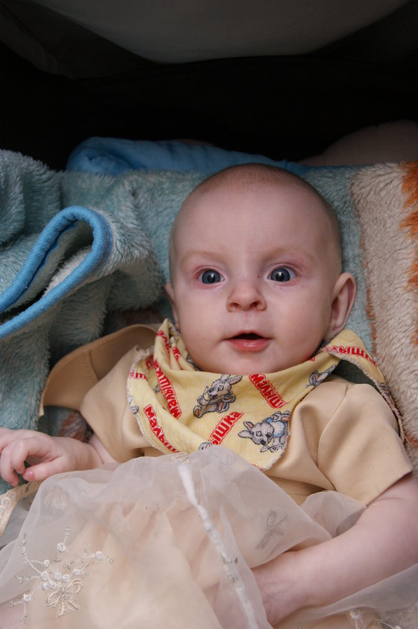 Лиза! - оригинал