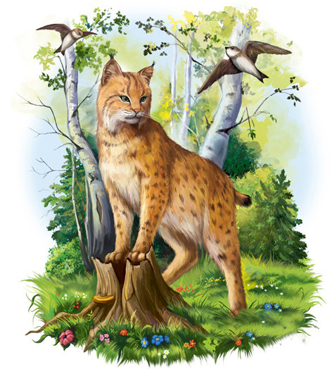 рысь - кошки, лес, природа, животные - оригинал