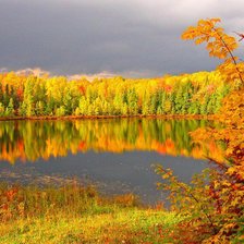 Схема вышивки «осень 8»