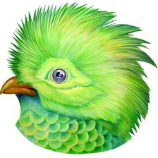 Схема вышивки «птица»