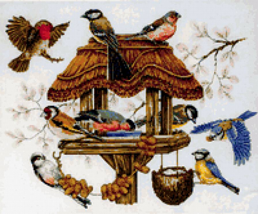 птички - предпросмотр