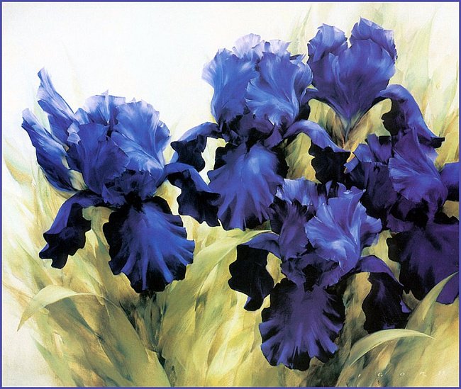 Ирисы - оригинал