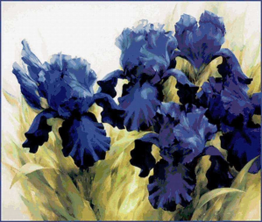 Ирисы - предпросмотр