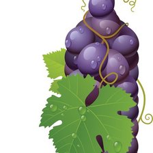 Схема вышивки «бутылочка»