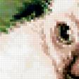 Предпросмотр схемы вышивки «кошки» (№327013)