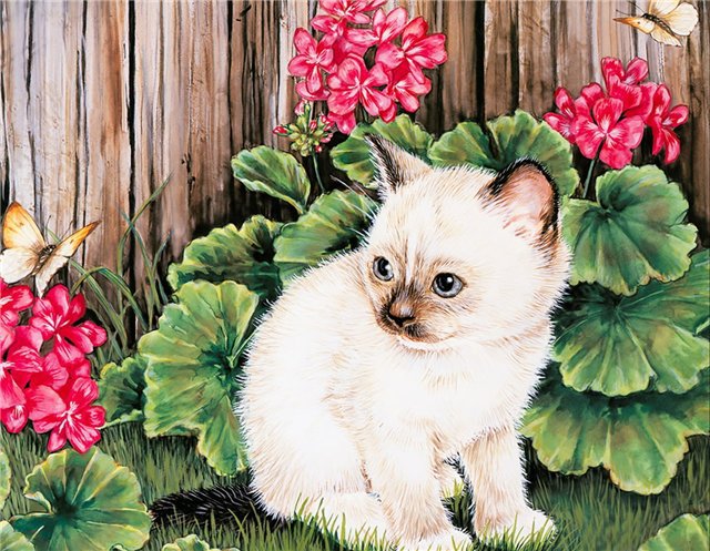 кошки - картинка, котенок, цветы - оригинал