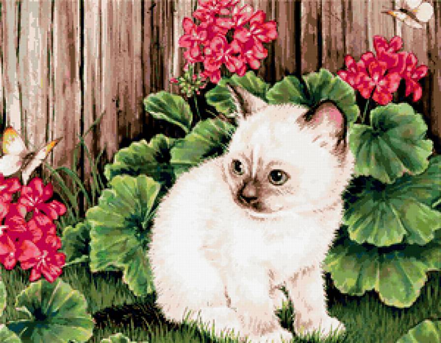 кошки - цветы, картинка, котенок - предпросмотр