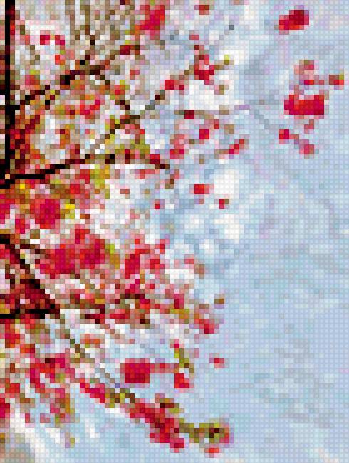 Сакура - сакура, веточки - предпросмотр