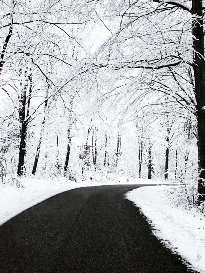 Зима - лес, дорога, зима - оригинал