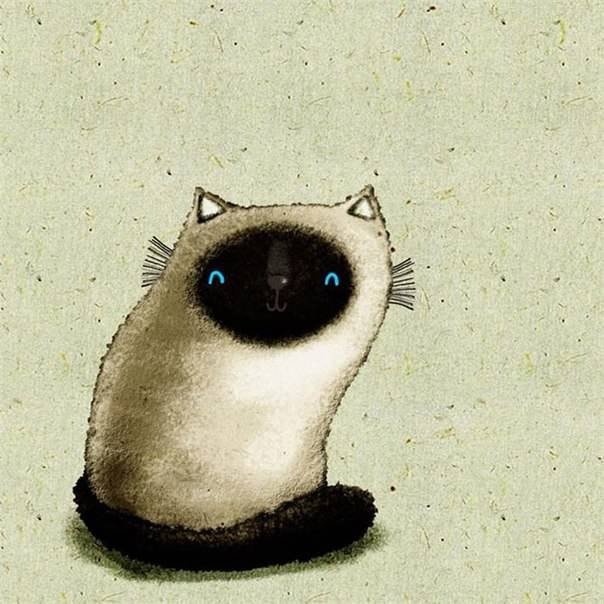 Котейка - кошка - оригинал