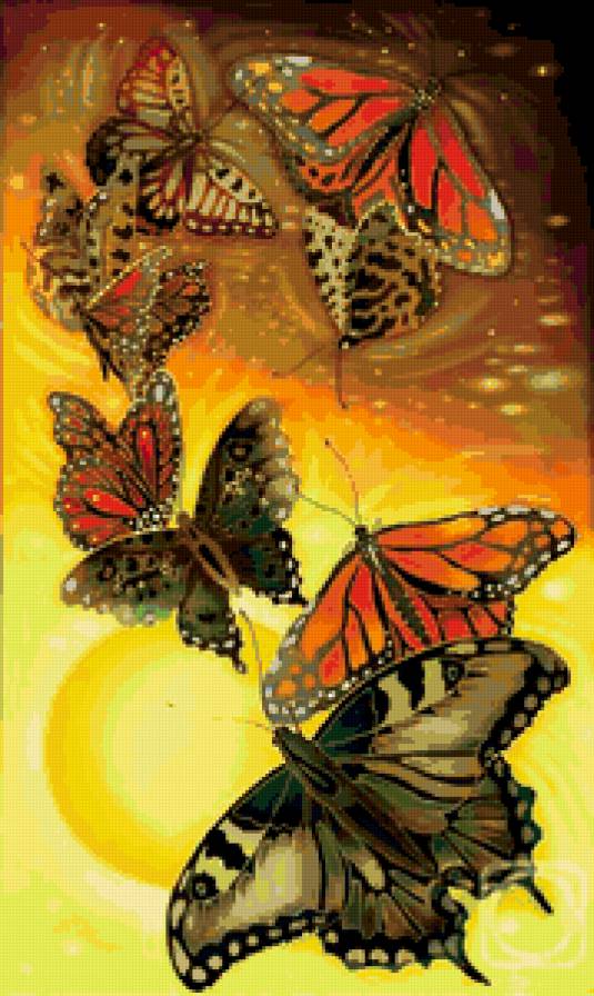 бабочки - волшебный мир - предпросмотр