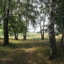 Схема вышивки «Санское. Рязань»