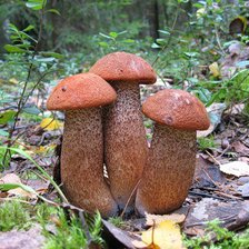 Схема вышивки «три богатыря»