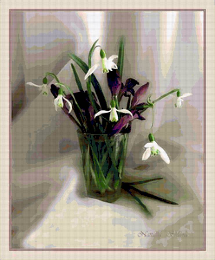 №327514 - букет, цветы, ирисы, подснежники, натюрморт, весна - предпросмотр