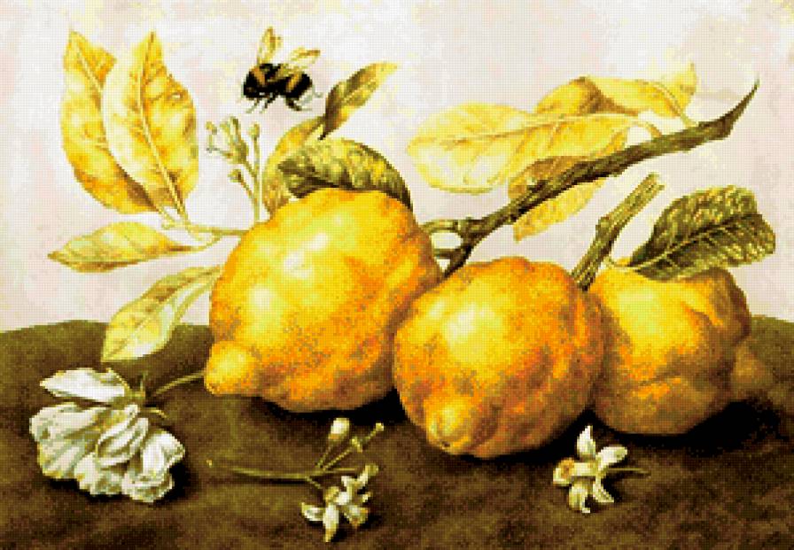 Полёт Шмеля - красота - предпросмотр