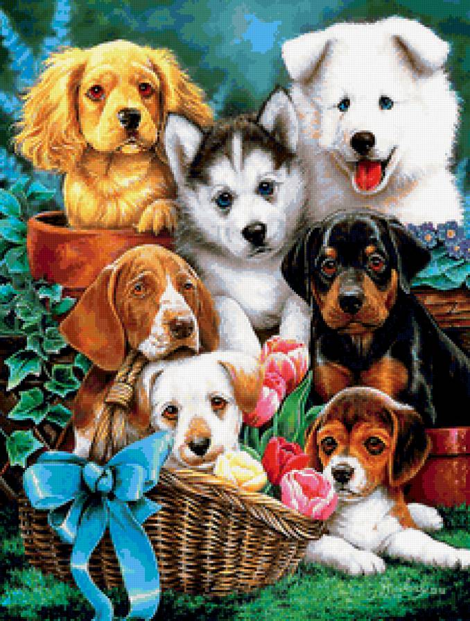 Дружная кампания - животные, собаки - предпросмотр