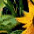 Предпросмотр схемы вышивки «подсолнухи» (№328103)
