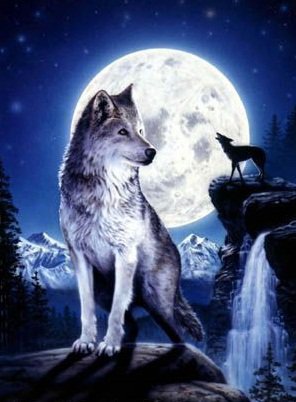 Волк - оригинал