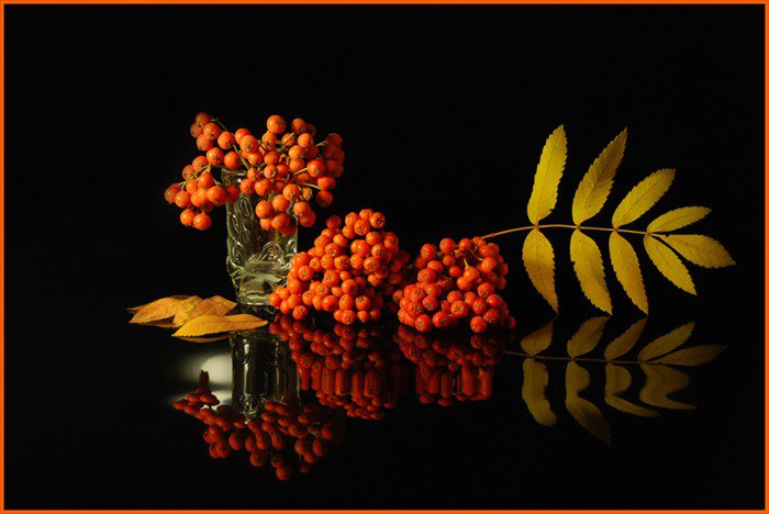 рябина - оригинал