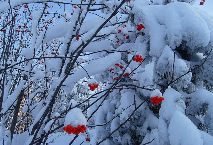 зима - оригинал