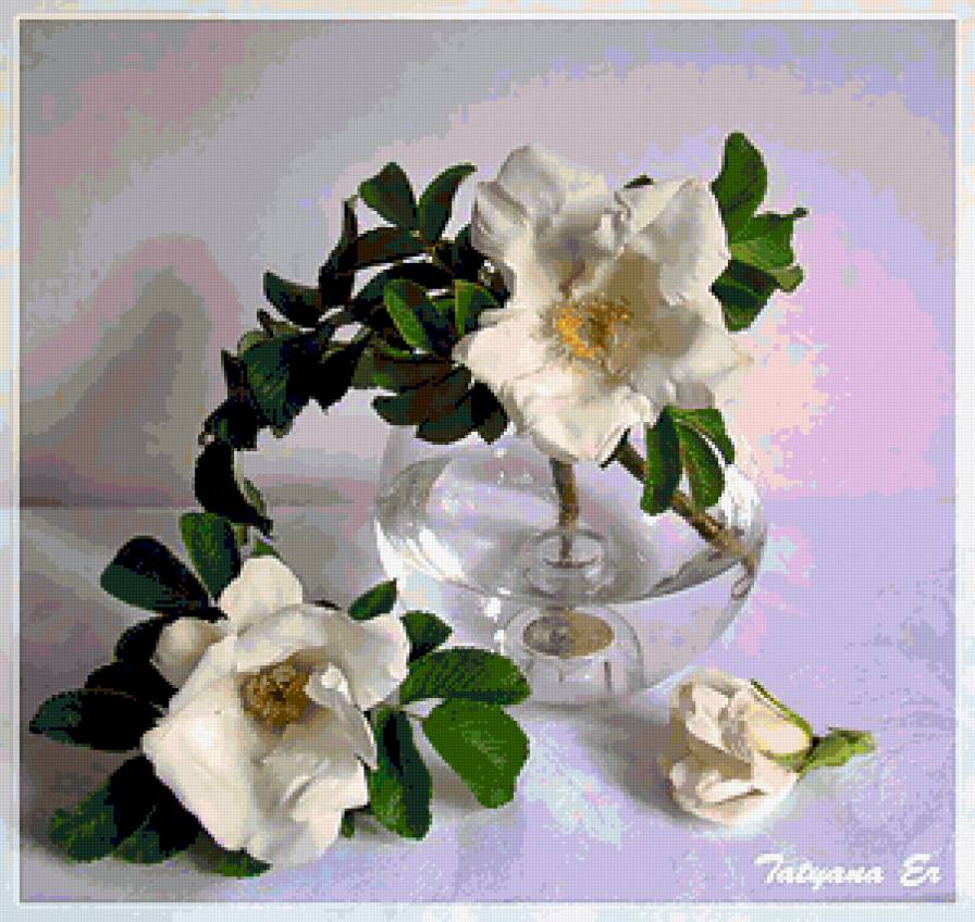 натюрморт - предпросмотр