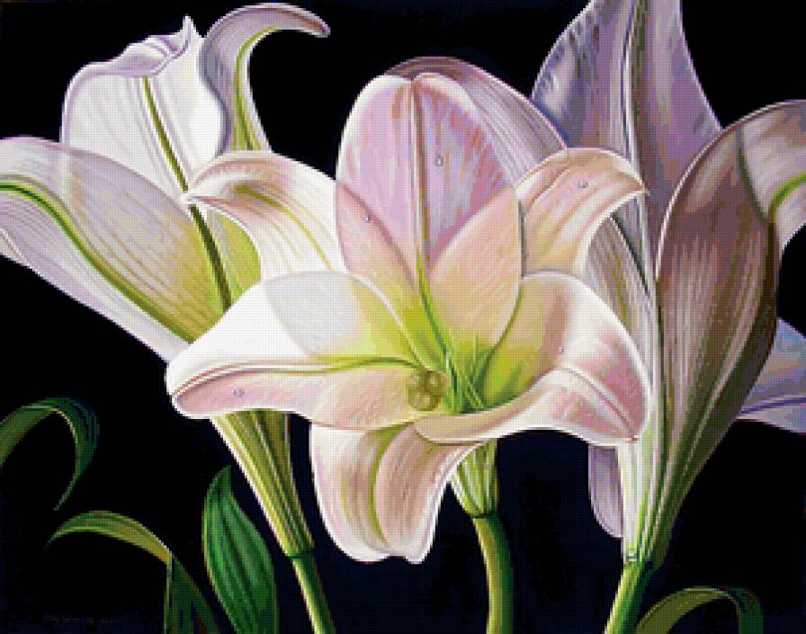 Цветы - цветы - предпросмотр