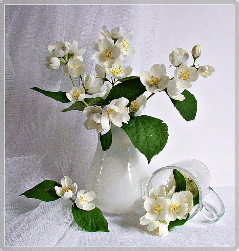 натюрморт - оригинал