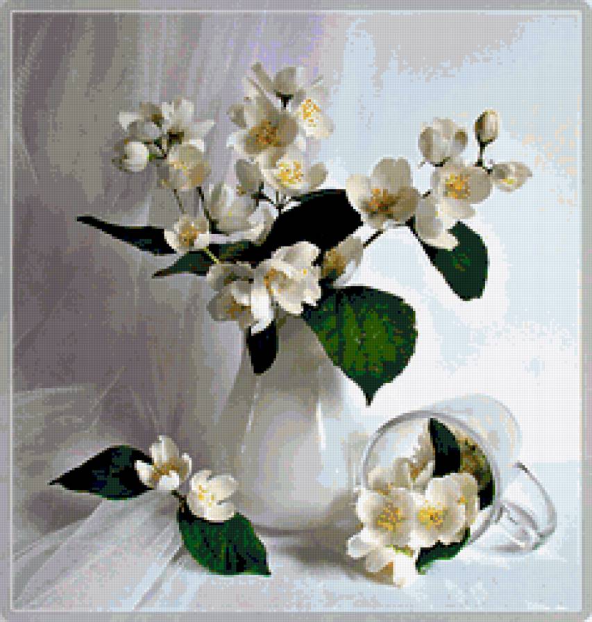 натюрморт - предпросмотр