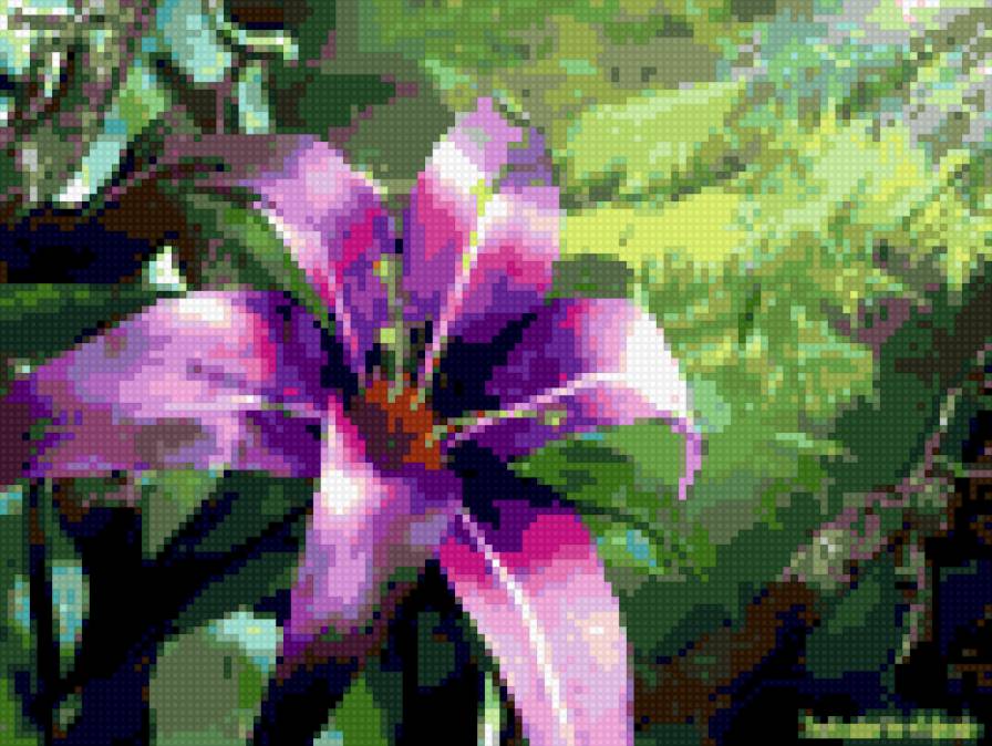 цвети - природа, цвети - предпросмотр