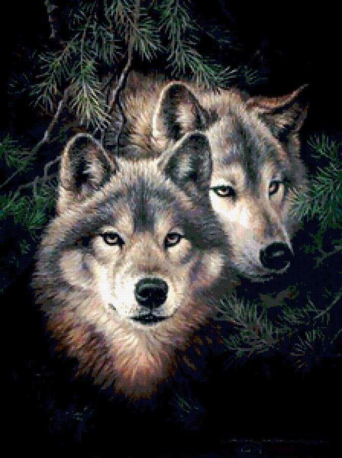 Волк - волк - предпросмотр