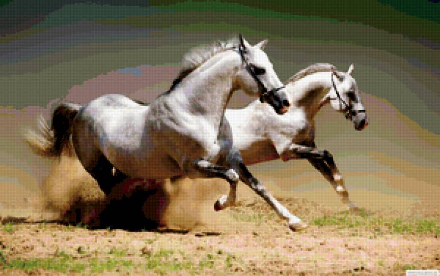 frgdf - предпросмотр