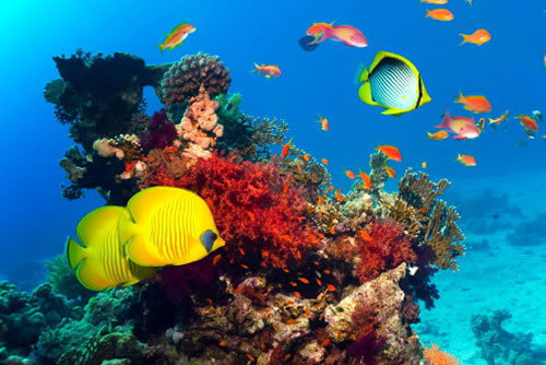 море - море, солнце, лето, песок - оригинал