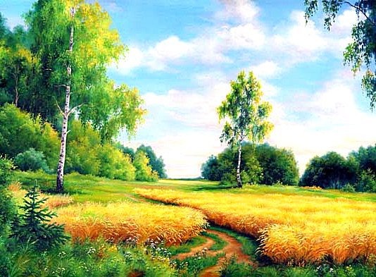 Спелая пшеница - поле, пшеница, пейзаж, нива - оригинал