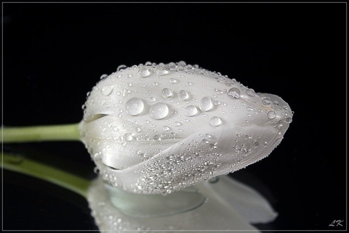 №328716 - оригинал