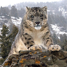 Схема вышивки «№328738»