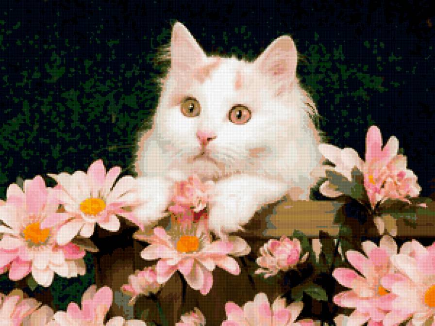 коты - предпросмотр