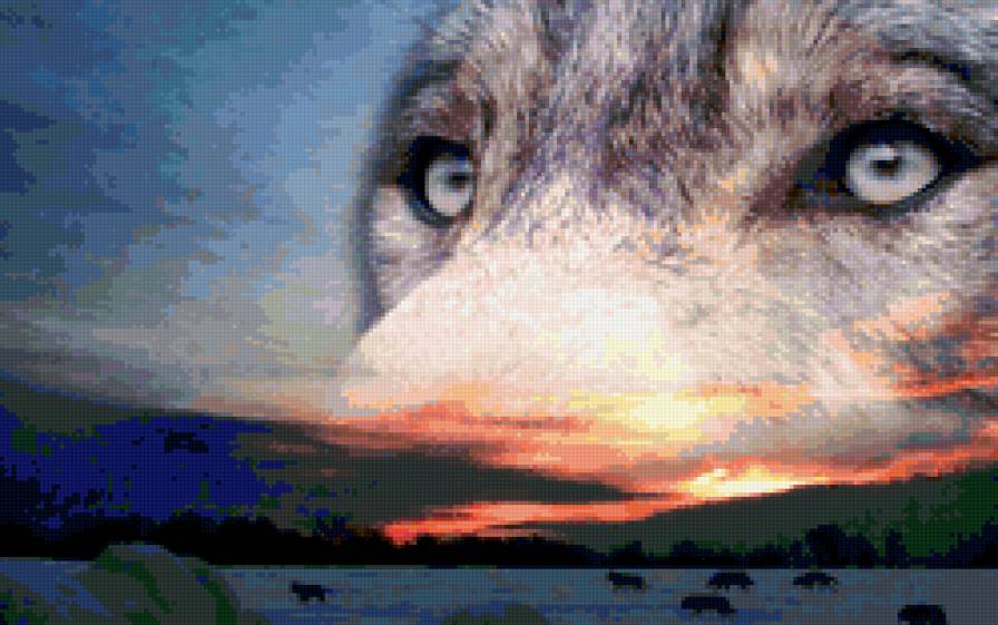 волк - предпросмотр