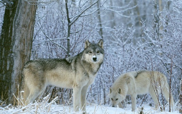 №328839 - оригинал