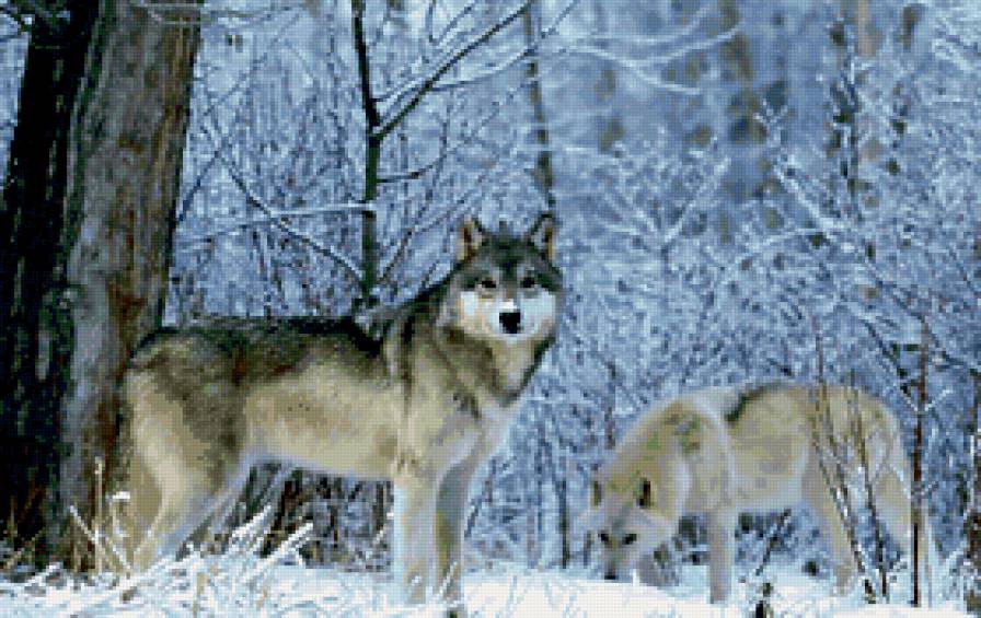 №328839 - предпросмотр