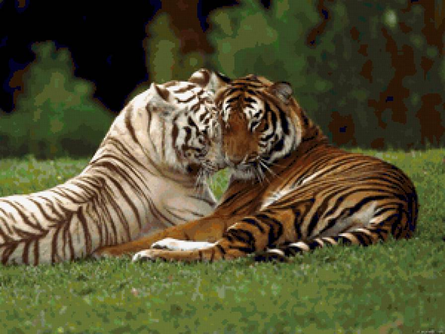 белоснежка - предпросмотр