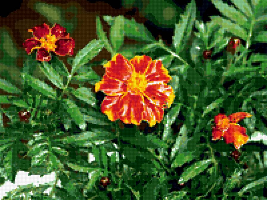 №328983 - цветы - предпросмотр