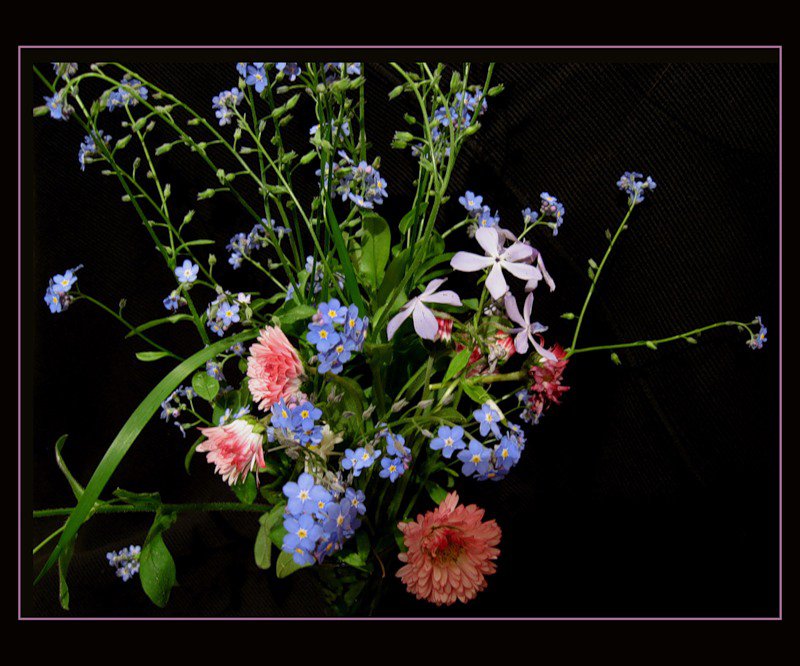 №328994 - незабудки, букет, цветы, на черном - оригинал