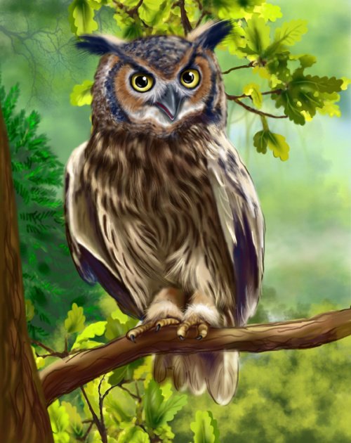 филин - оригинал