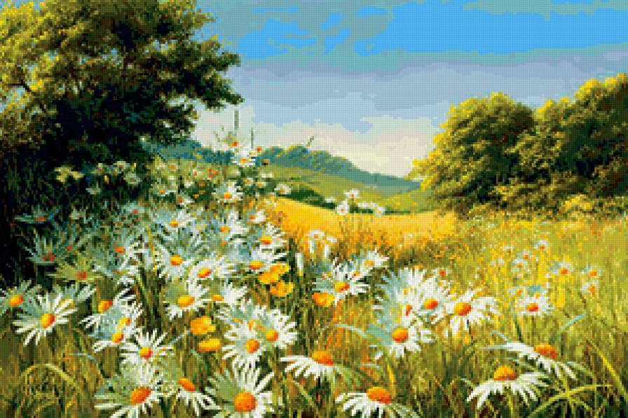 луговые цветы - поле, природа, лето - предпросмотр