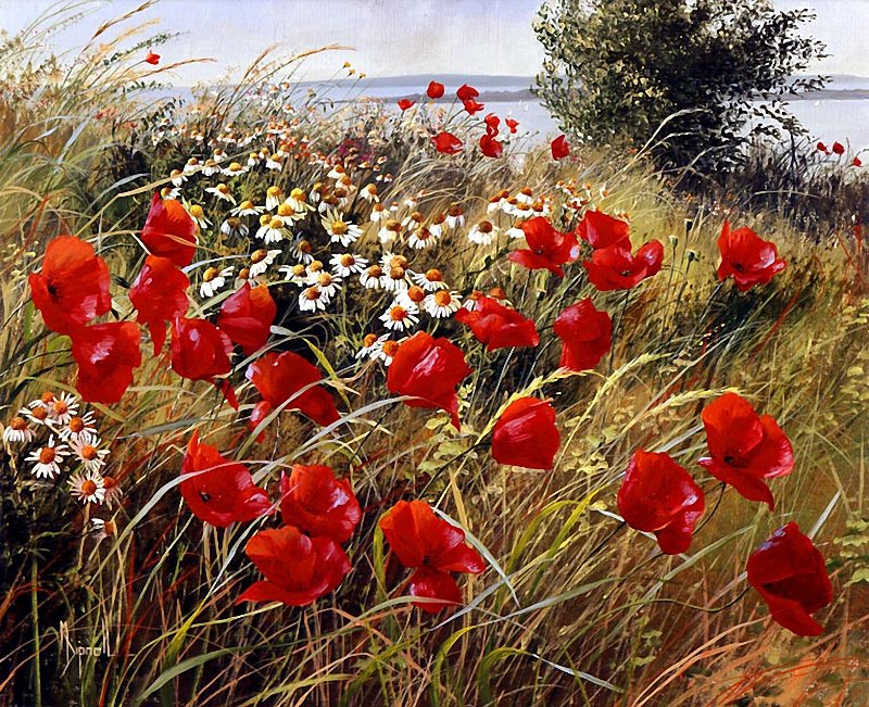 луговые цветы - лето, природа, поле - оригинал